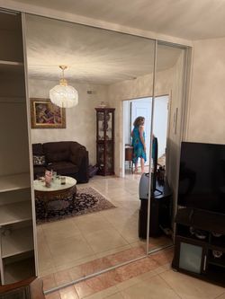 Sliding mirror door
