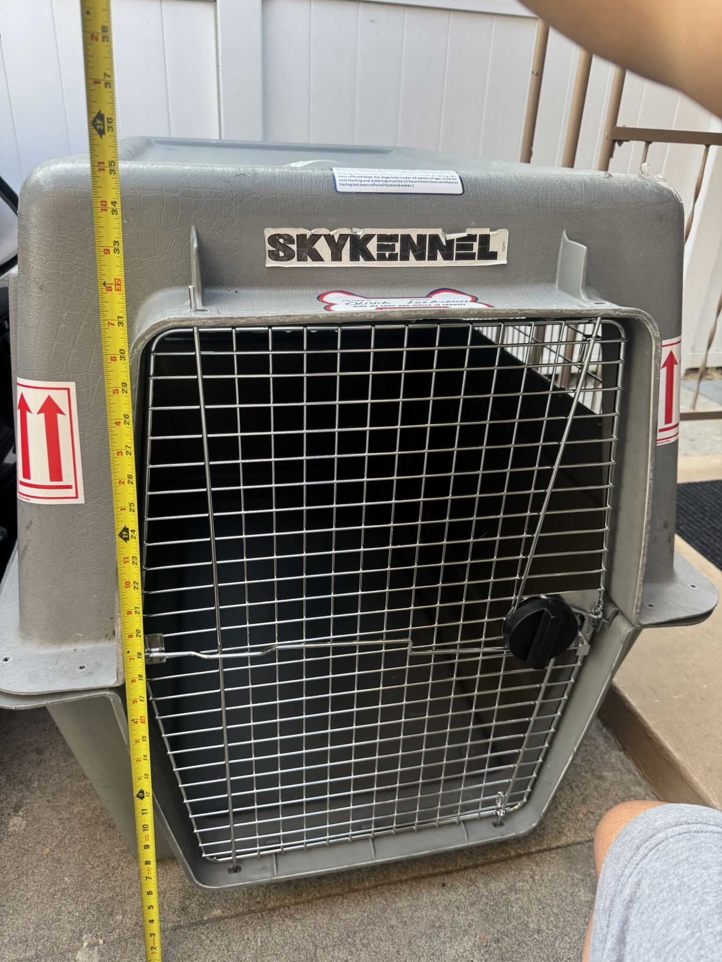 Big Dog Kennel