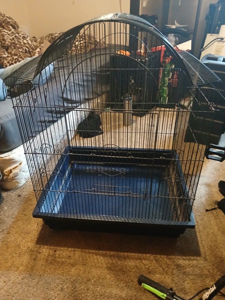 Bird Cage