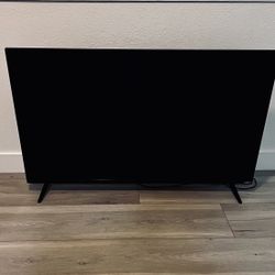 VIZIO 48 INCHES