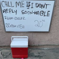 Small Cooler Loncherita 