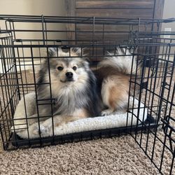 Collapsible Small Dog Crate Kennel 