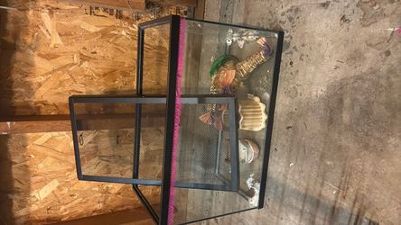 10 gallon tank