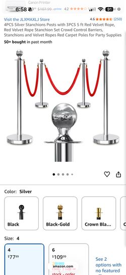 Silver Stanchions