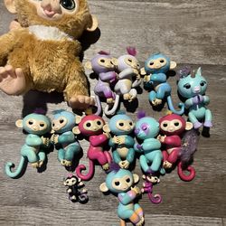 Collection Monkeys