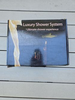 Luxury shower system