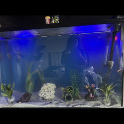 125 Gallon Fish Tank 