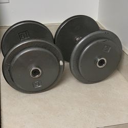 Pair Of 30 Lb Weights