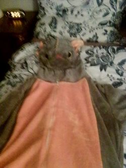Costume Of a Dragon
