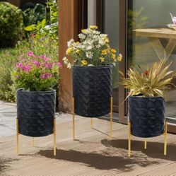 Black Flower Pots Gold Stands