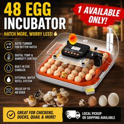 48 Egg Incubator