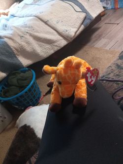 Rare Beanie Babie
