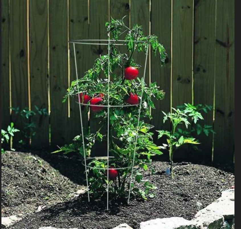 3 Tomato Cages And Tools 35ave/glendale 