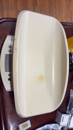 Scale