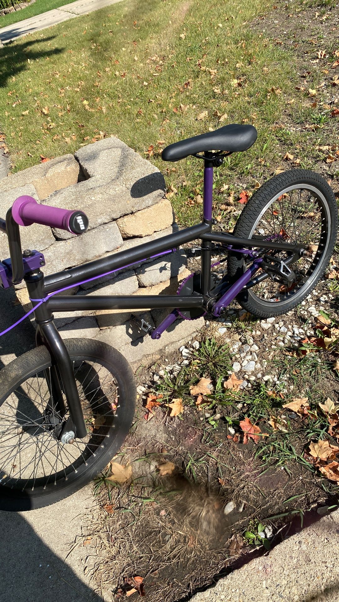 Hoffman Condor BMX 20in 