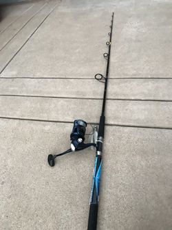 Fishing rod