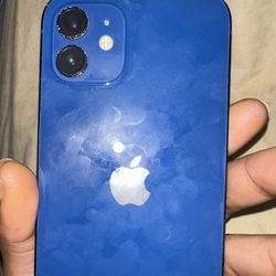 Apple iPhone 12 (blue) 