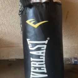 Everlast Boxing Punching Bag