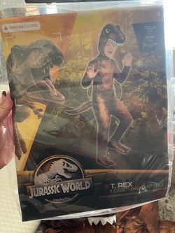 Kids dinosaur costume
