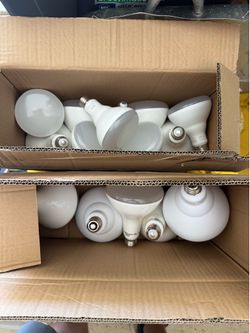 New LED Recessed Lights & FEIT LED Bulbs Bundle – Great Deal!