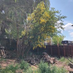 Buildable Lot With Trees, Klamath Falls