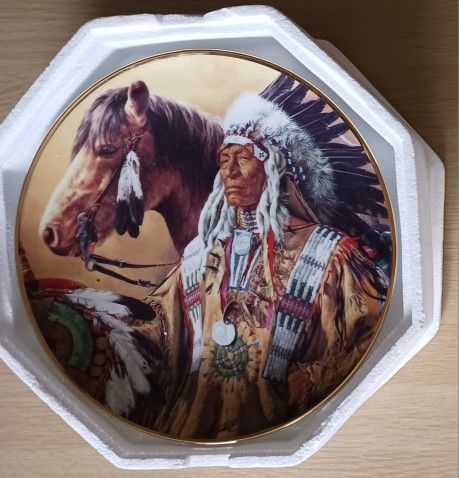 "PRIDE OF THE SIOUX" NUMBERED COLLECTOR'S PLATE FOR THE FRANKLIN MINT *READ THE DESCRIPTION*