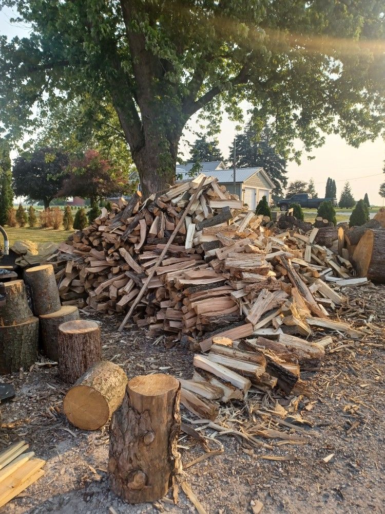 Firewood 