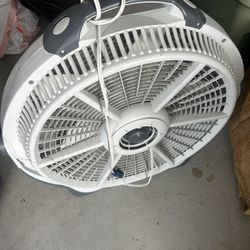 Big Fan
