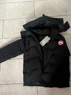 Black Canada Goose