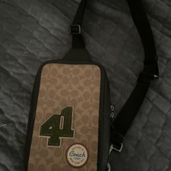 Coach Side Bag 