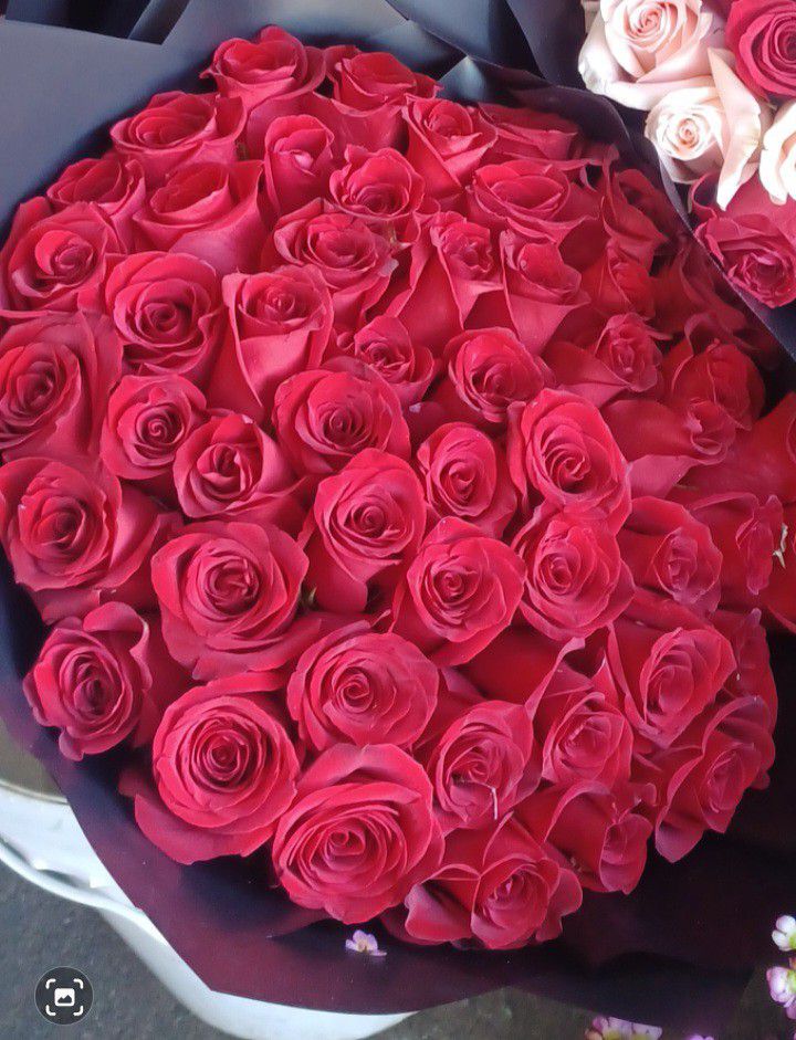 Rose Bundles - Valentines Day ♥️