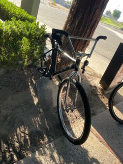 Coraline 29er