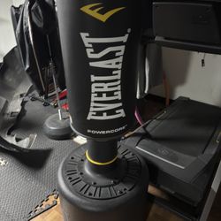 Everlast Standing Punching Bag