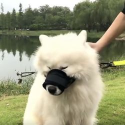 Pet Dog Adjustable Bark Muzzle (S)