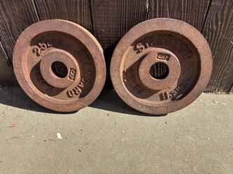 Two 25-pound weightlifting plates