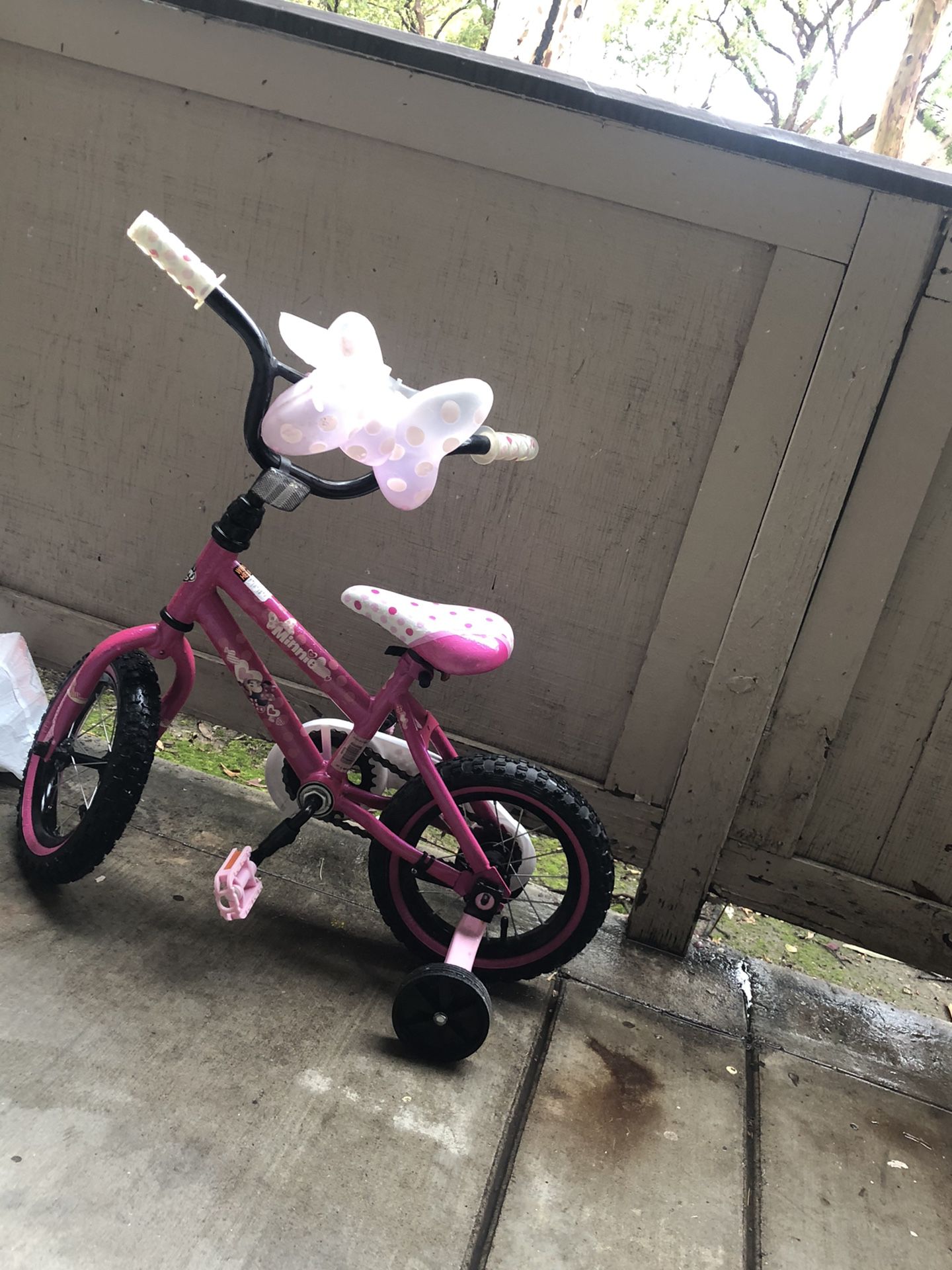 Minnie Mouse bicycle!