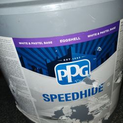 Speedhide Neutral Gray 5 Gal Paint