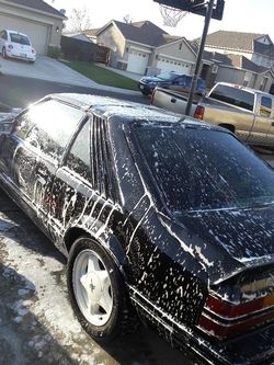 Mustang