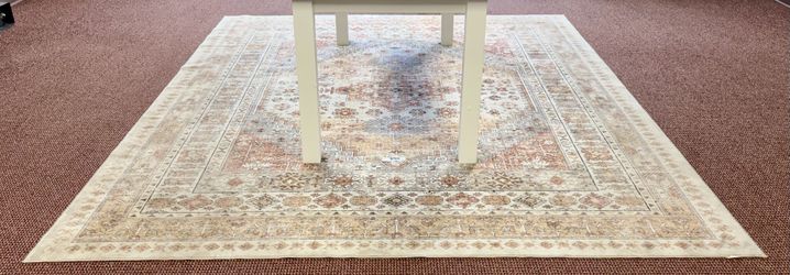 Area Rug - Store Closing