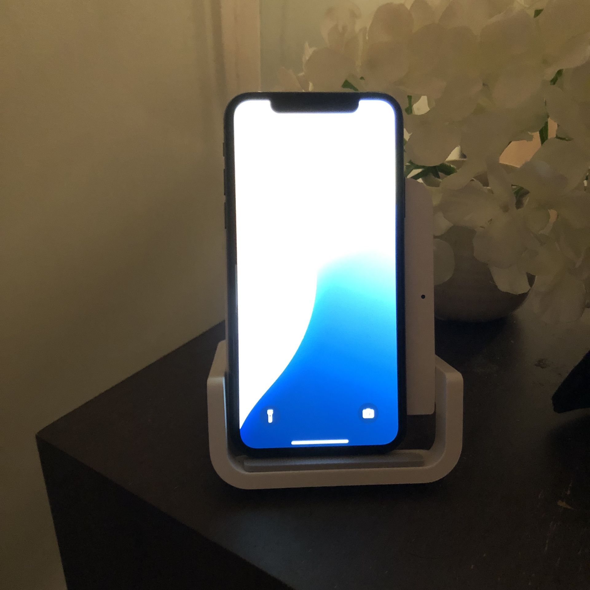 iPhone XS US Version (Excellent Battery Life)