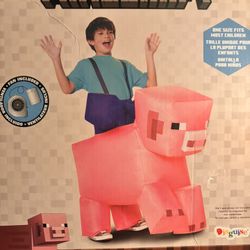 Minecraft Costume