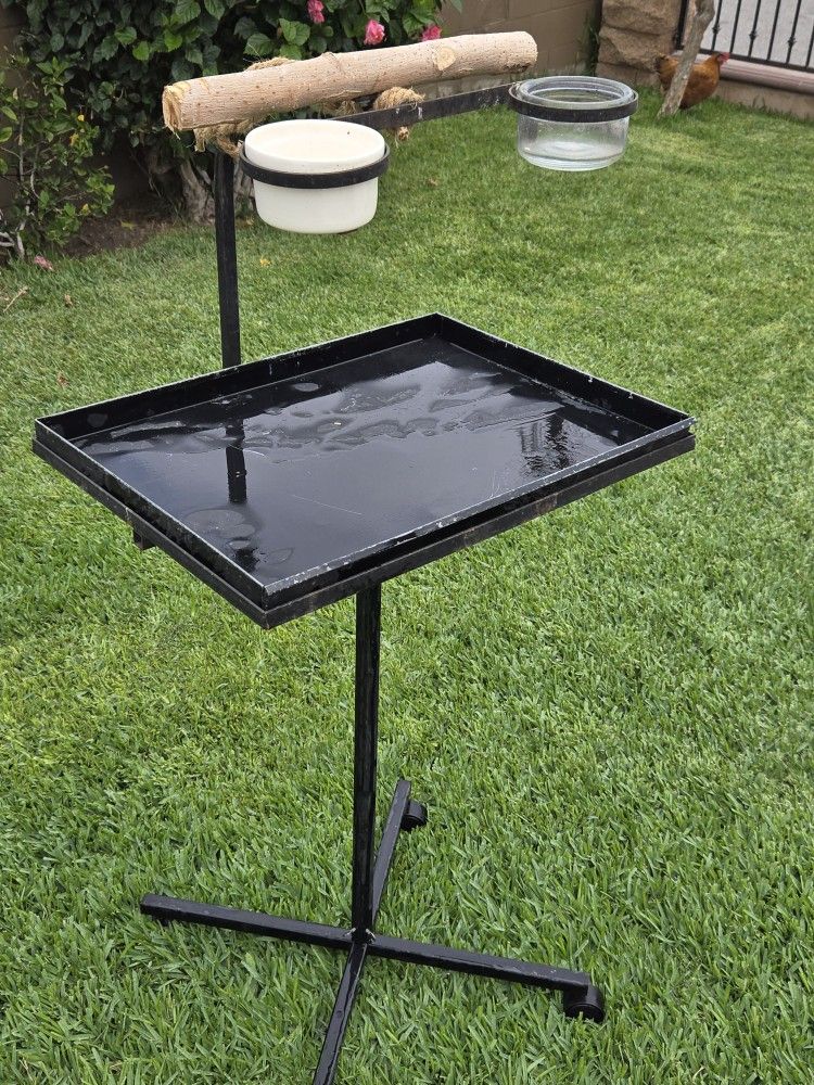 Large Parrot Stand