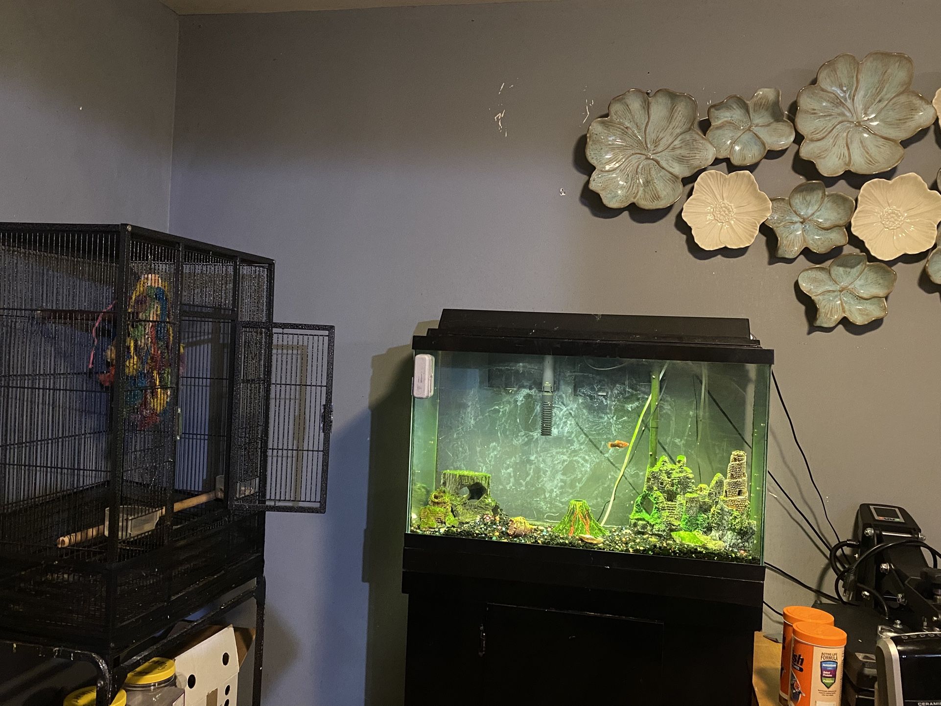 Fish Tank