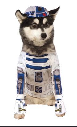 Dog Star Wars dog costume size xl