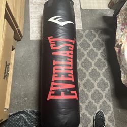 Punching Bag 120lbs
