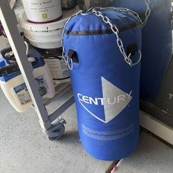 Century Punching Bag 