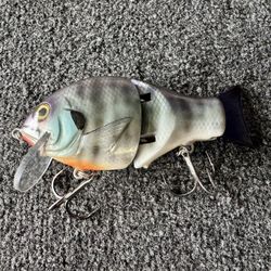 Wood Billed Shell Cracker - Dark bluegill