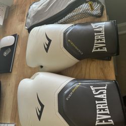 EVERLAST BOXING GLOVES (EVERSHIELD)