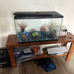 Fish Stand And Stand