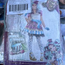 Disney Costume 